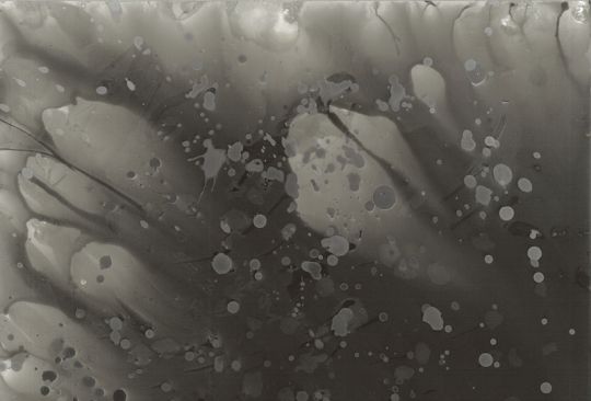 Bartek_ohne_Titel_2010_Chemigramm_800_Ausschnitt.jpg