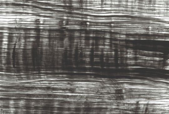 Eliska_Bartek_Ohne_Titel_2011_Notationen_gegen_das_Vergessen_Ausschnitt_800.jpg